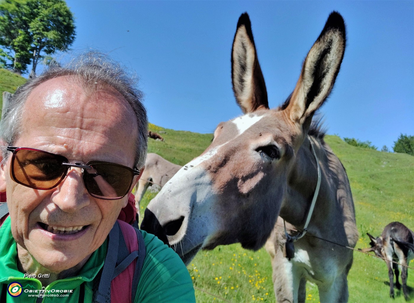 07 Incontro ravvicinato professore asino o viceversa allla Baita Sornadello (1407 m).jpg